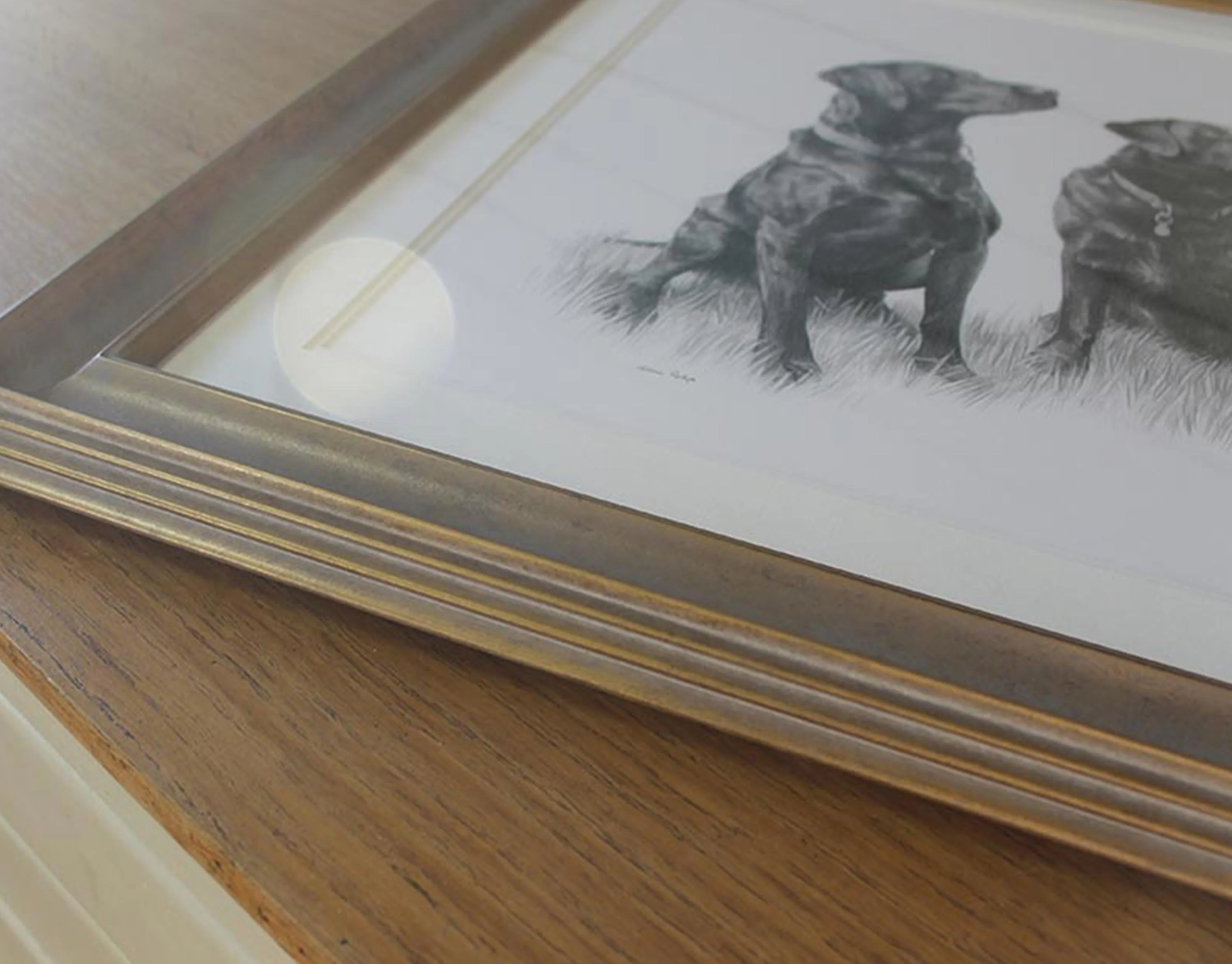 Framed Dog Pencil Portrait by Melanie Phillips – Labradors and Springer Spaniel Framed pencil portrait of Labradors and a Springer Spaniel displayed on a wooden shelf, showcasing the elegant framing.