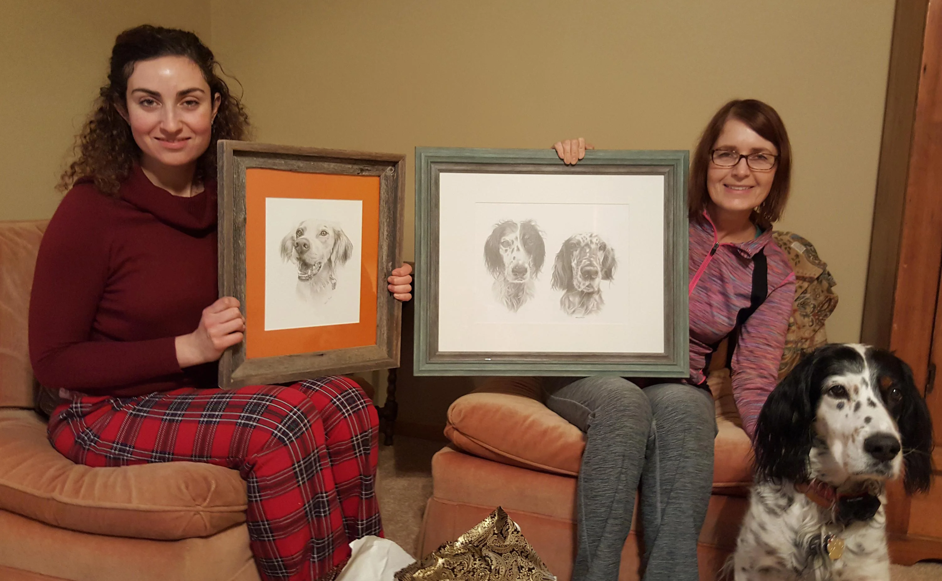 Detailed pencil portraits of multiple dogs, including English Setters and a Springer Spaniel, by Melanie Phillips. Close-up views of graphite pet portraits, showcasing the intricate detail on the fur and expressions of English Setters and a Springer Spaniel.