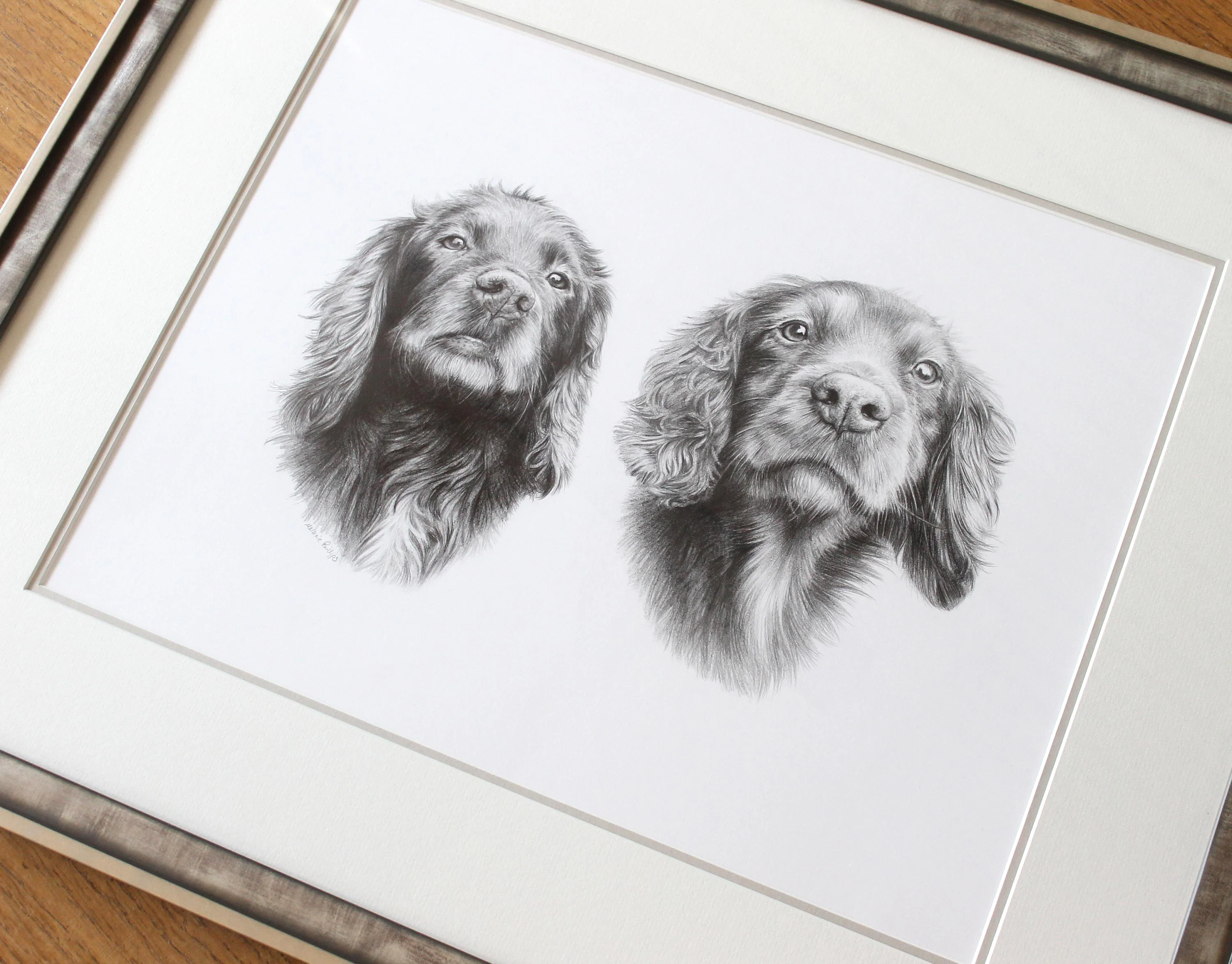 Framed Double Spaniel Pencil Portrait – Pet Artwork by Melanie Phillips Framed double pencil portrait of two Spaniel dogs, Jenny and Fern, drawn in fine detail and mounted under glass.