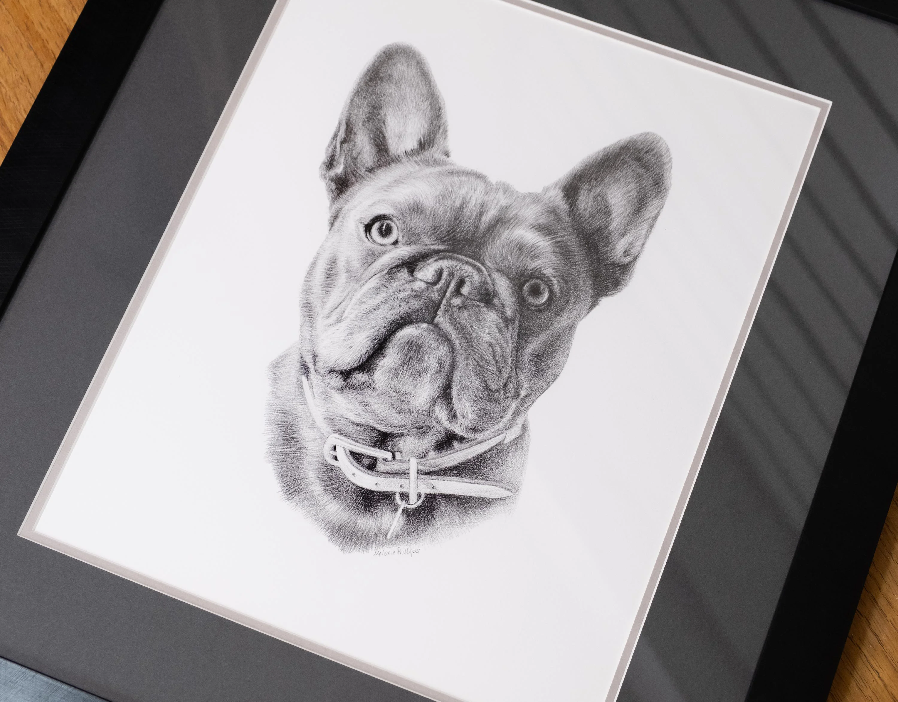 French Bulldog Pencil Portrait – Classic Drawing by Melanie Phillips Close-up pencil portrait of a French Bulldog (Memphis) with expressive eyes and visible texture, accompanied by Derwent Graphic pencils.