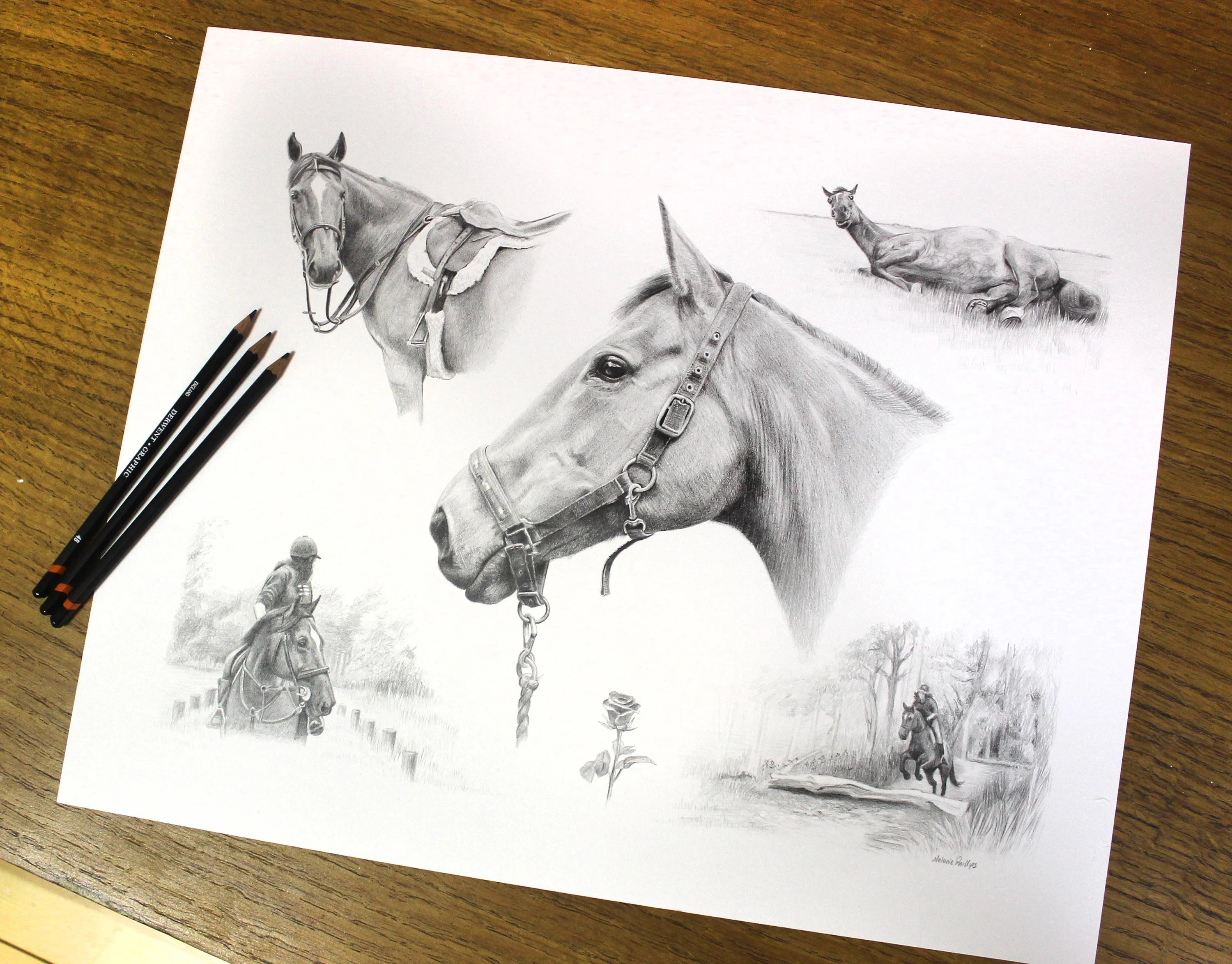Horse Montage Portrait in Pencil by Melanie Phillips – Custom Equine Drawing A detailed horse portrait montage in pencil, featuring multiple views of Rose, expertly drawn by Melanie Phillips, including a subtle rose motif.