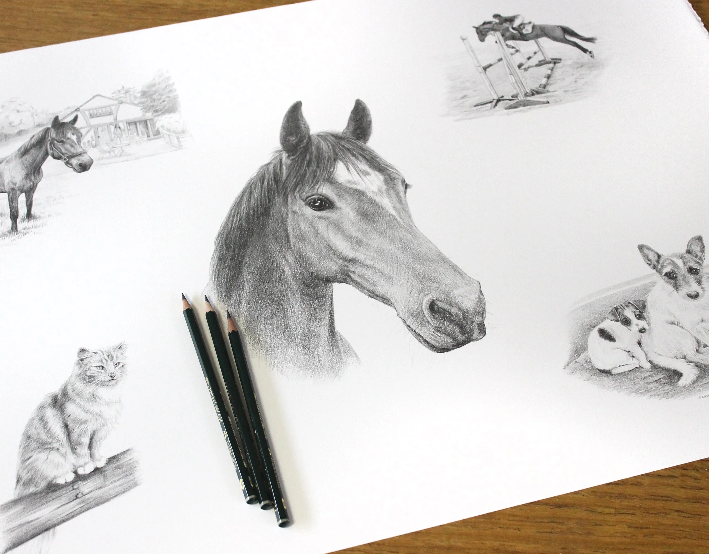 Horse and Pet Montage Portrait in Pencil – Custom Drawing by Melanie Phillips A dynamic pencil montage portrait featuring Locksie the horse in various poses, alongside a cat and two Jack Russell dogs, including a detailed showjumping scene.