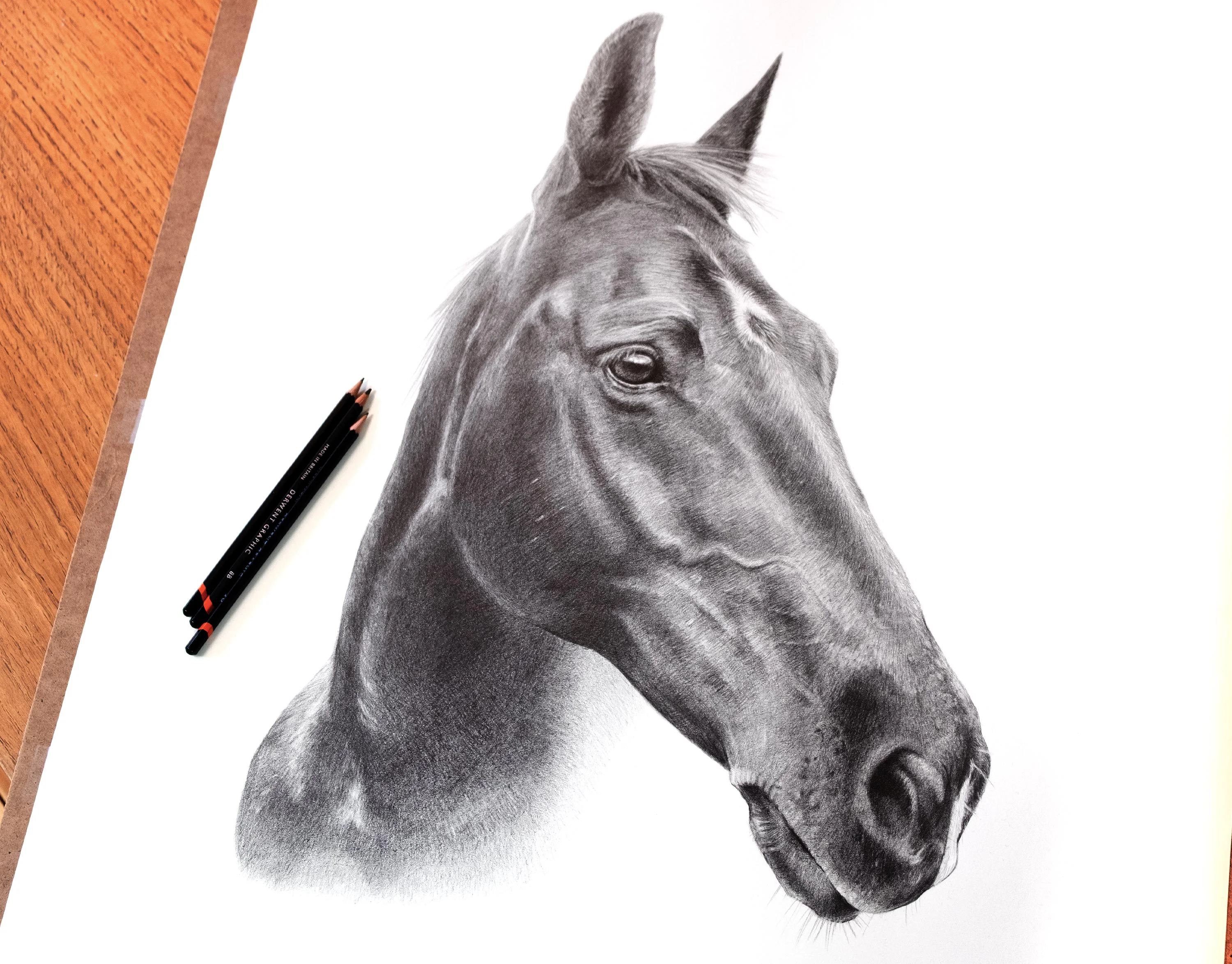 Bay Horse Portrait in Pencil by Melanie Phillips – Custom Graphite Drawing Highly detailed pencil portrait of Flash, a bay horse, with Derwent Graphic pencils visible beside the drawing.