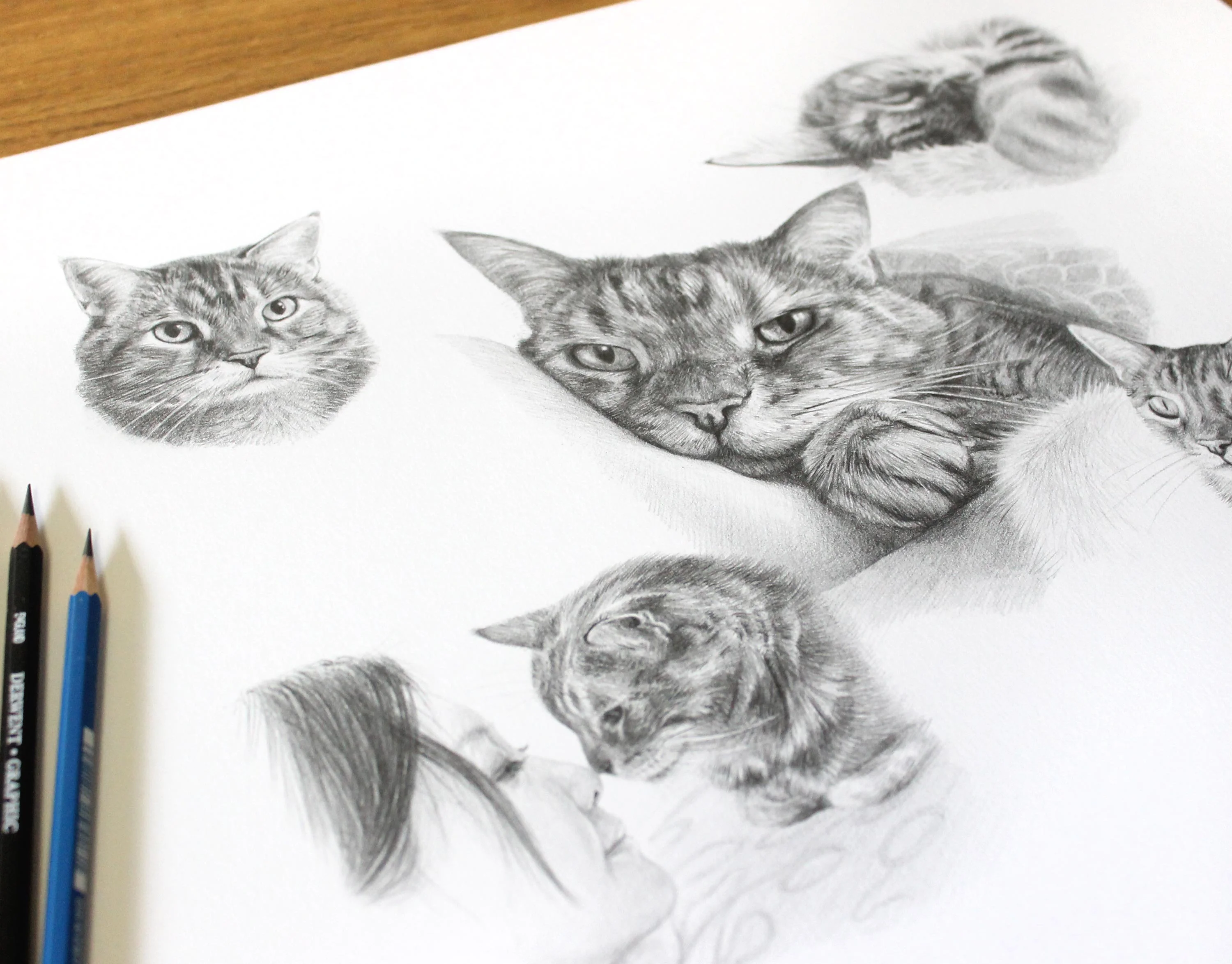Framed Cat Portrait Montage of Gilli in Pencil – Five Unique Views Framed pencil montage portrait of tabby cat Gilli featuring five lifelike sketches in different poses.