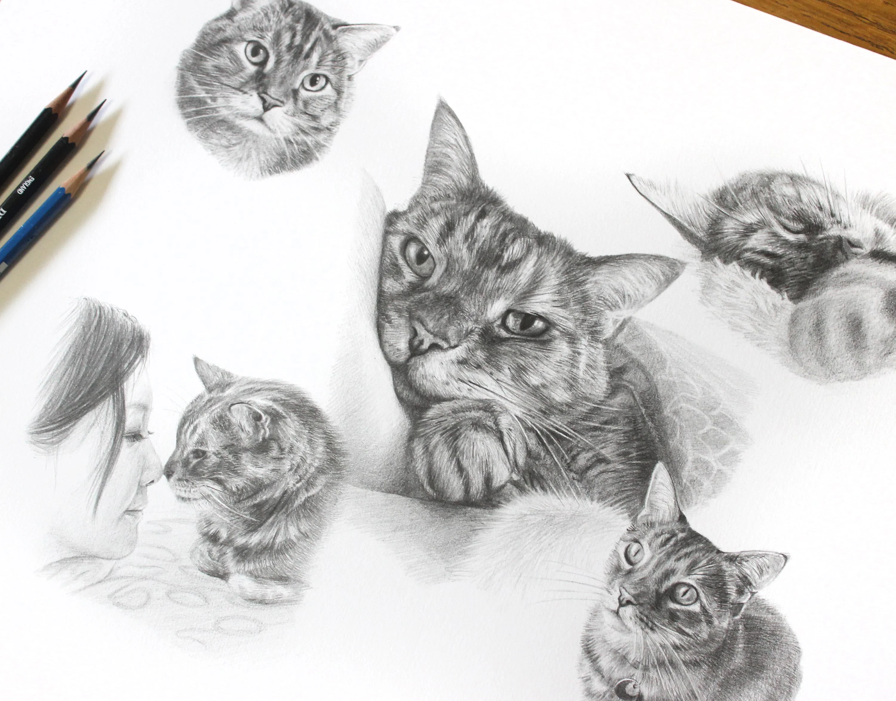 Classic Pencil Drawing of Tabby Cat Gilli – Montage Portrait Pencil cat portrait montage of Gilli showing relaxed and affectionate poses, highlighting the versatility of the artwork.