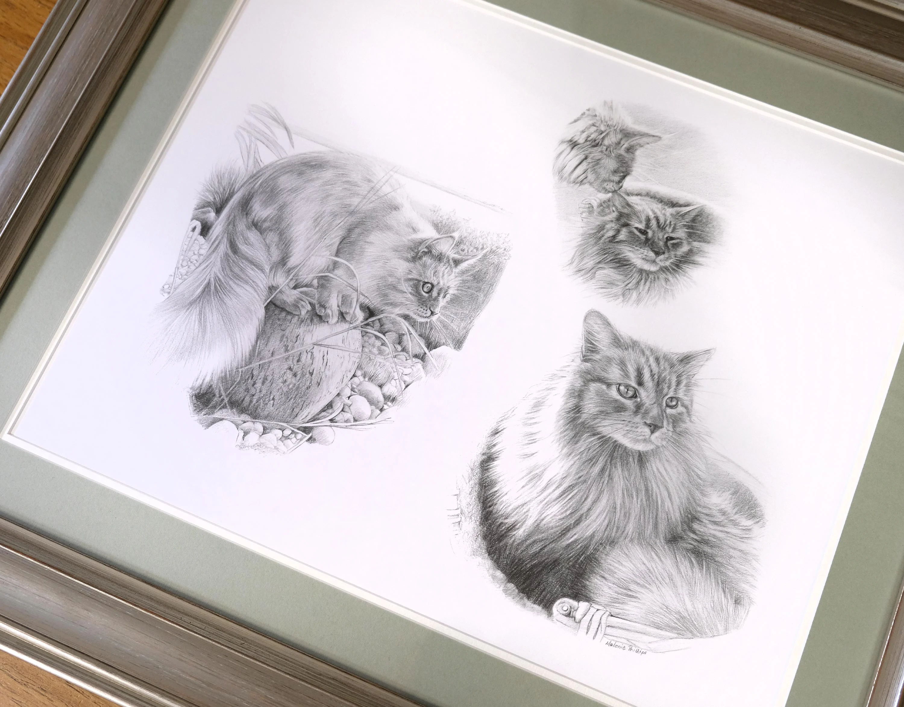 Framed Cat Montage in Pencil – Bespoke Pet Portrait Drawing Framed pencil portrait of three cats by Melanie Phillips, presented as a custom montage drawing, beautifully displayed in a home setting.