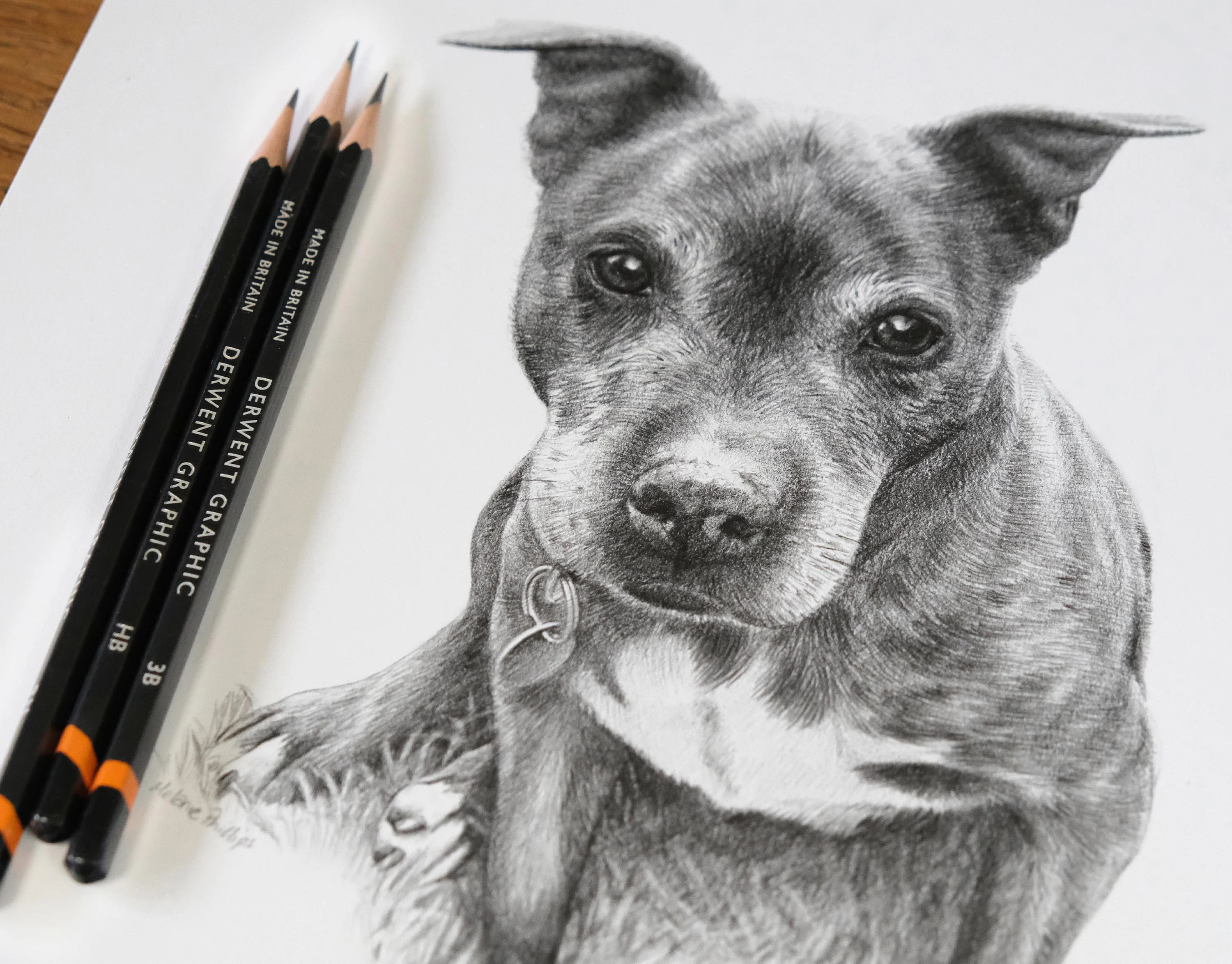Staffordshire Bull Terrier Pencil Portrait with Pencils by Melanie Phillips Lifelike graphite pencil drawing of a Staffie dog, with three Derwent Graphic pencils resting beside the artwork.