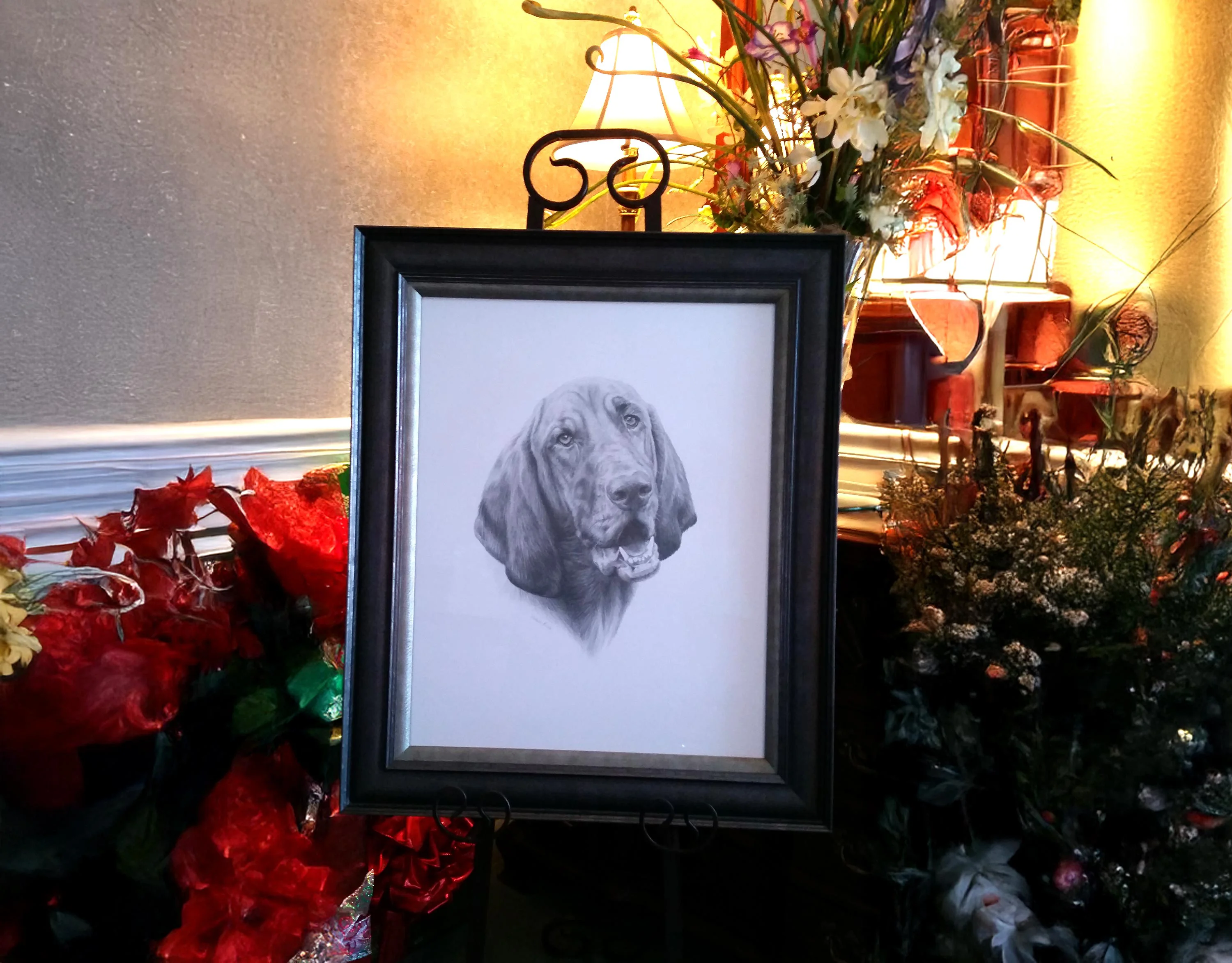 Bloodhound Portrait in Pencil by Melanie Phillips – Framed Pet Drawing Display Framed pencil drawing of a Bloodhound (Daisy) on display, surrounded by decorative flowers and illuminated by a warm light.