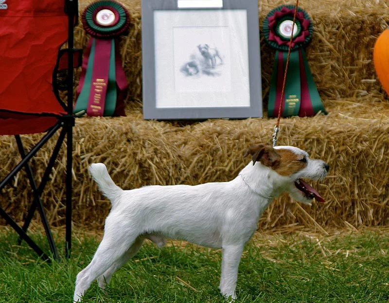 Client Lizabeth's testimonial for Holden's portrait