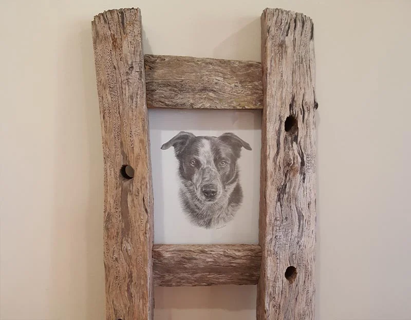 Client Rob's testimonial for his pet portrait