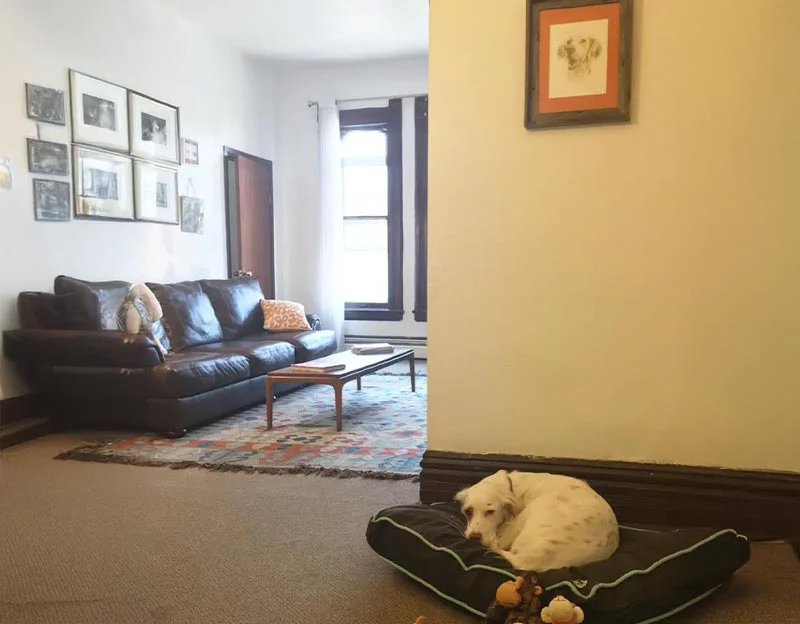 Client Marcella's testimonial for Rooney's portrait