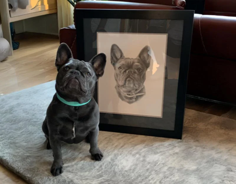 Client Amber's testimonial for her friend's pet portrait