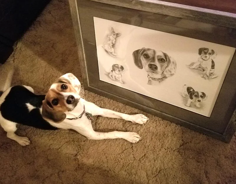 Client Ben's testimonial for the Vera collage