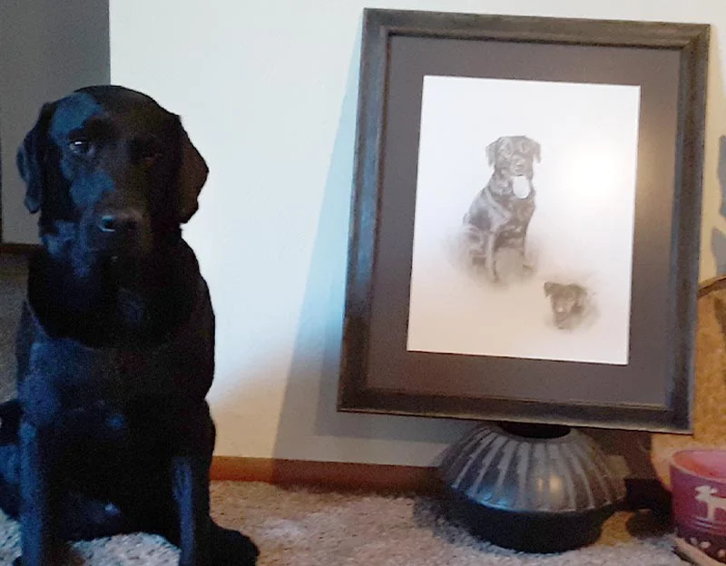 Client Craig Stoelk's testimonial for Zip's portrait