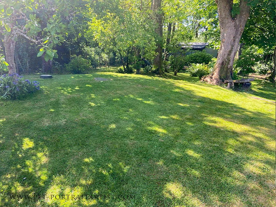 Lawn in Dappled Light Lush Welsh cottage garden lawn bathed in dappled sunlight, showcasing vibrant plant growth.