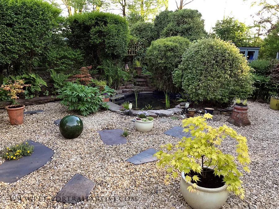The Pond in Our Welsh Cottage Garden A tranquil view of the Welsh cottage garden pond, surrounded by wild and naturalized planting.