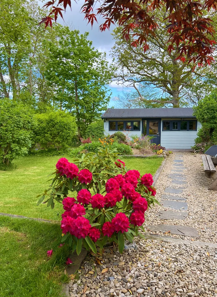 Pet Portraits Art Studio 2020