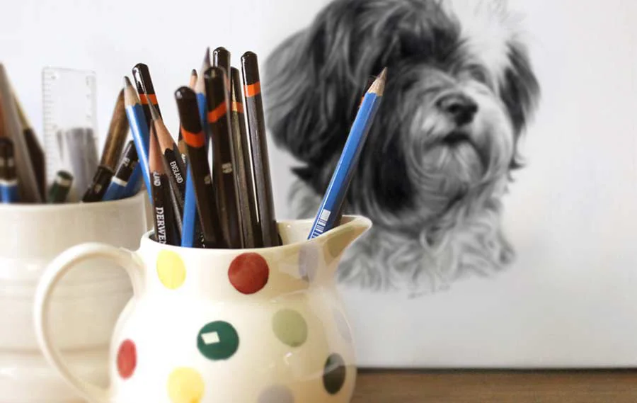 A selection of professional drawing pencils, including Derwent, Faber-Castell, and Mars Lumograph, arranged next to a partially visible finished pet portrait.
