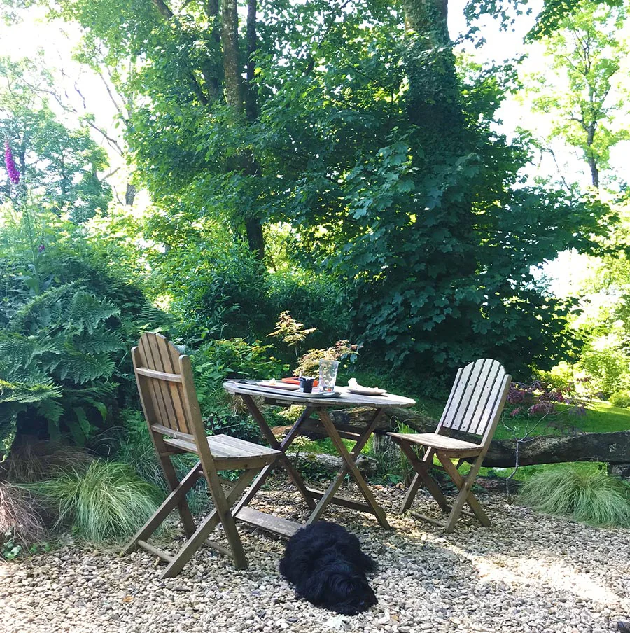 A quaint garden table and chairs set up outside the art studio, shaded by trees, perfect for outdoor meals during warmer months.