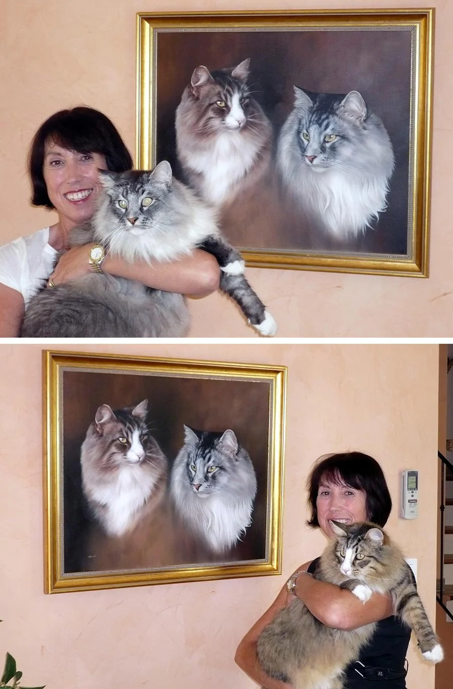 Expressive cat portraits in oils by Nicholas Beall, focusing on detailed character.